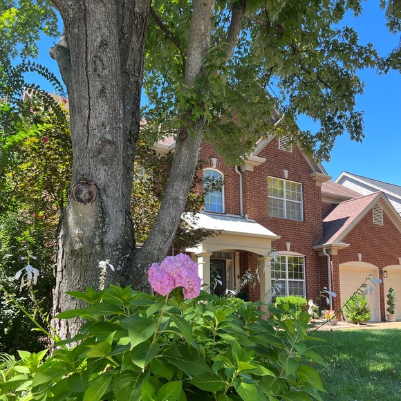 Meet your Posher, Danita - Picture 8 of 8